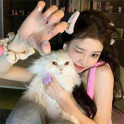 阿曼达·诺克斯杀人疑案